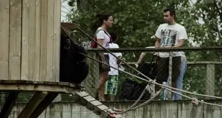 Bestiaire (2012)