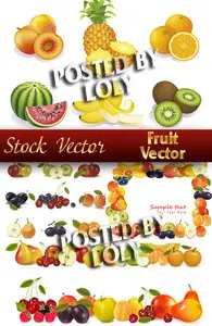 Vector Fruit - Stock Vector