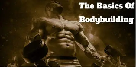 The Basics Of Bodybuilding : For Beginners