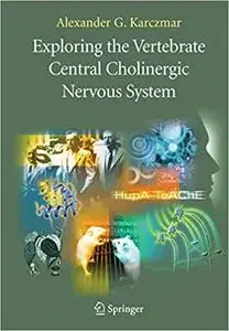 Exploring the Vertebrate Central Cholinergic Nervous System