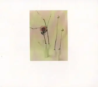 Félicia Atkinson - The Flower And The Vessel (2019)  {Shelter Press}