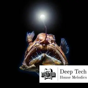 Rankin Audio Deep Tech House Melodics WAV MiDi