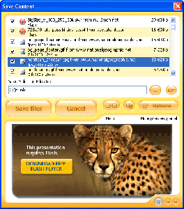 Flash & Media Capture 1.3.48