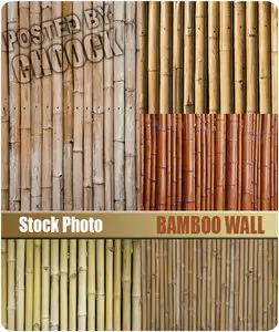 Stock Photo: Bamboo wall