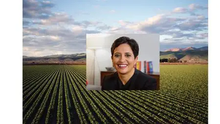 How Seed Vcs Think About Startups With Sramana Mitra