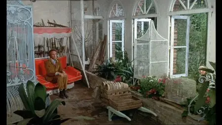 Le Distrait/The Daydreamer/Der Zerstreute (1970)