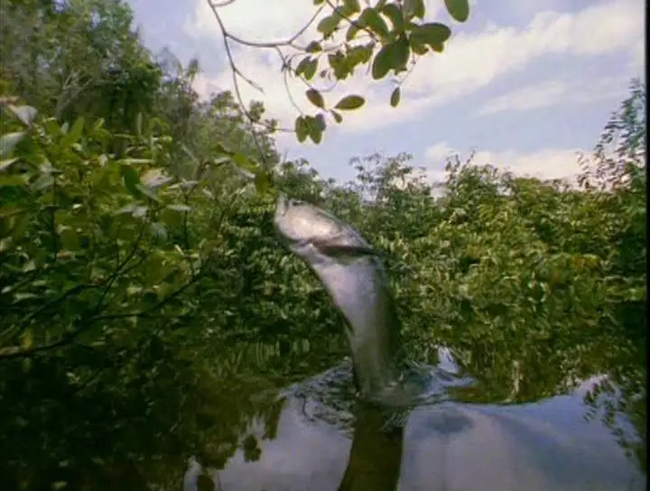 Прирожденные охотники. Диск 2