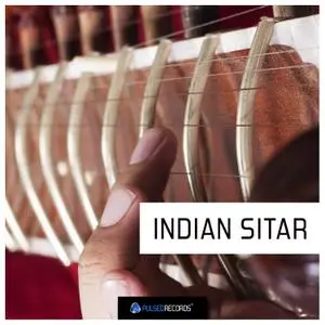 Pulsed Records World Series Indian Sitar MULTiFORMAT