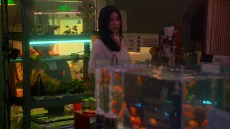 Fishbowl Wives S01E01