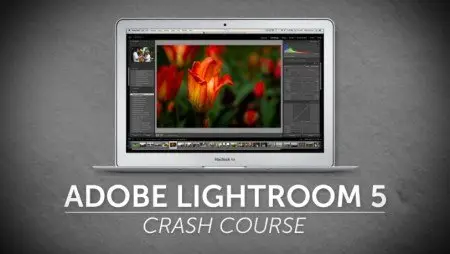 Video School Online - Adobe Lightroom 5 Crash Course
