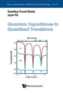 Quantum Capacitance in Quantized Transistors