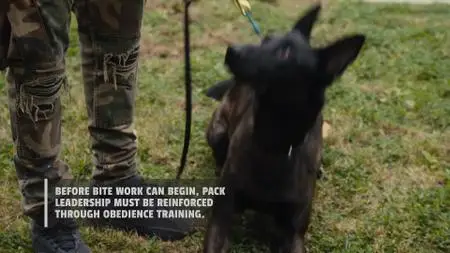 Canine Intervention S01E03