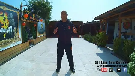 Wing Chun Sil Lim Tao - M4 Street fighting