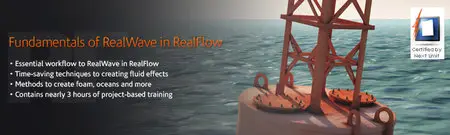 Digital Tutors - Fundamentals of Real Wave in RealFlow 4 