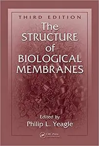 The Structure of Biological Membranes (Repost)