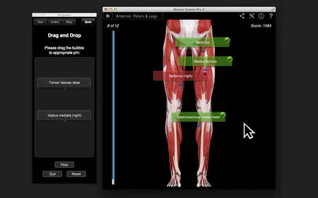 Muscle System Pro III v3.0 Mac OS X