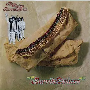 The Flying Burrito Bros: CD Collection (1968-1990)