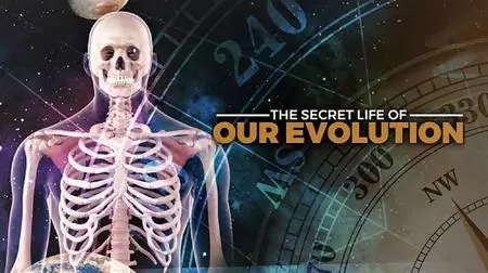 ZED - The Secret History of our Evolution: Series 1 (2018)