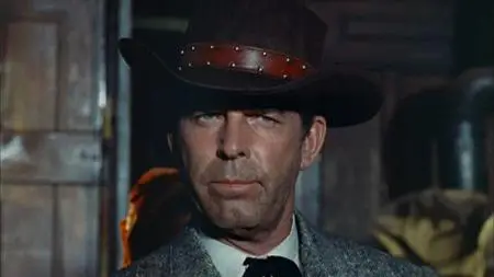 Face of a Fugitive (1959)