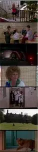 Beaches (1988) + Bonus [w/Commentary]