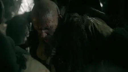 Vikings S05E17