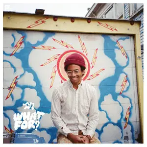 Toro y Moi - What For? (2015)