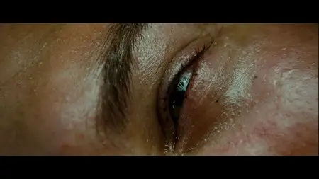 Into the Wild (2007)