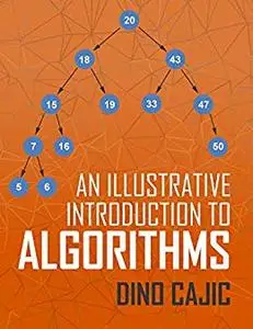 An Illustrative Introduction to Algorithms