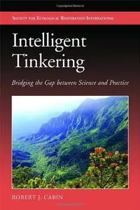 Intelligent Tinkering: Bridging the Gap between Science and Practice (Repost)