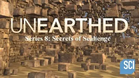 Sci Ch - Unearthed Series 8: Secrets of Seahenge (2020)