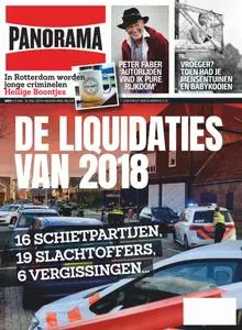 Panorama Netherlands - 09 januari 2019