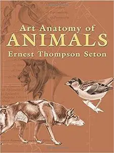 Art Anatomy of Animals (Dover Anatomy for Artists)