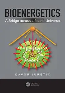 Bioenergetics: A Bridge across Life and Universe
