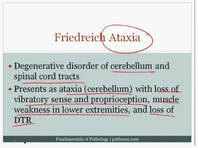 Pathoma: Fundamentals of Pathology