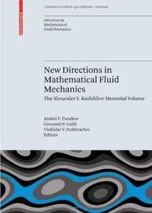 New Directions in Mathematical Fluid Mechanics (Repost)