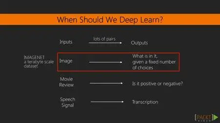 Learning Path : Diving into Deep Learning