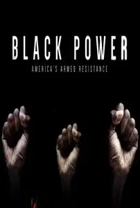 Black Power: America's Armed Resistance (2016)