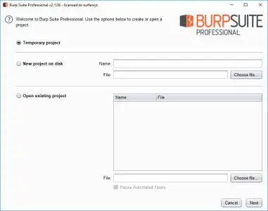 Burp Suite Professional 2.1.06