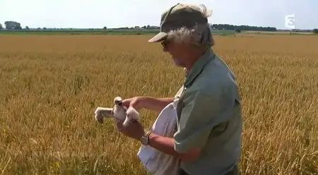 (Fr3) Des racines et des ailes - Passion patrimoine : Sur la Loire, entre Touraine et Anjou (2015)