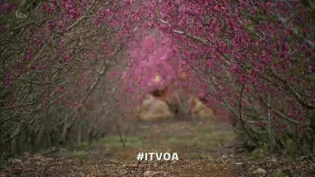 ITV On Assignment - Golan Heights, Civita and Tehran (2016)