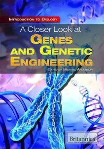 A Closer Look at Genes and Genetic Engineering (repost)