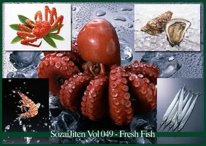 DataCraft Sozaijiten Vol 049 - Fresh Fish