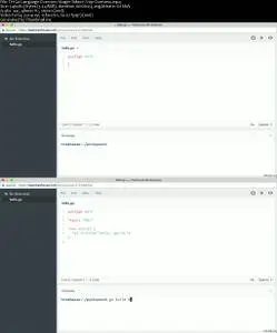 Go Language Overview
