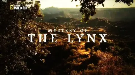 National Geographic - Mystery of the Lynx (2012)