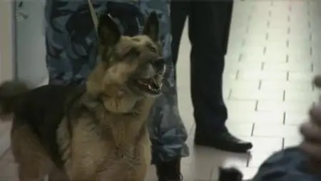 Inside: Russia's Toughest Prisons (2018)