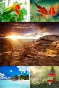 Top 100 Nature and Landscape Wallpapers