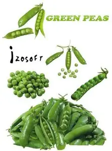 Green Peas PSD