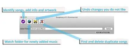 SongKong Music Tagger 4.10 Multilingual