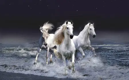 Imagination and Creativity - Wallpapers