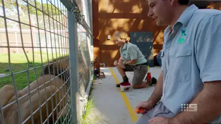 Zoo S04E10